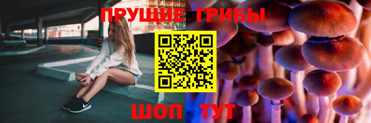 Псилоцибиновые грибы мицелий Астрахань